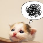 遺品の着物は取っておいた方がいい？処分すべき？