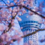 着物買取が東京で高いのはどこ？持ち込み可能なお店はある？