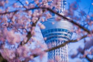 着物買取が東京で高いのはどこ？持ち込み可能なお店はある？