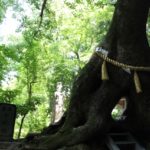 着物買取が千葉で高いのはどこ？持ち込み可能なお店はある？